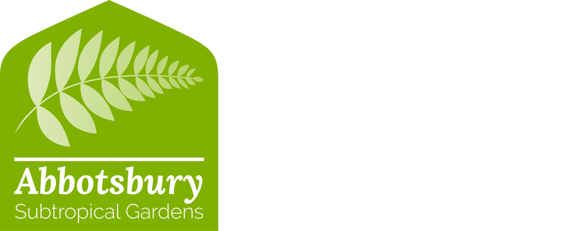 Abbotsbury Weddings